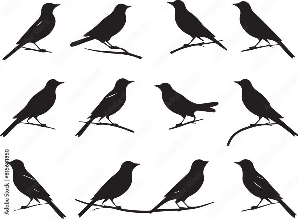 Sticker set of birds silhouettes