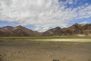 there is a large field in the middle of the desert