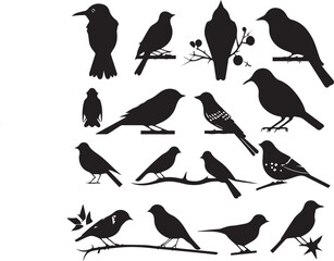 Obraz premium birds on a branch