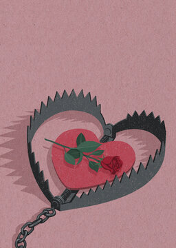 Red rose bait in heart shaped bear trap