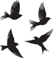 silhouettes of birds