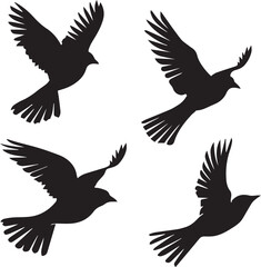 silhouettes of birds
