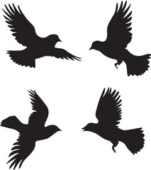 silhouettes of birds