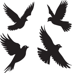 silhouettes of birds