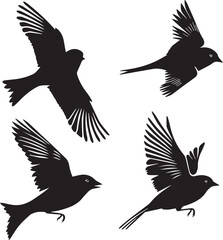 silhouettes of birds