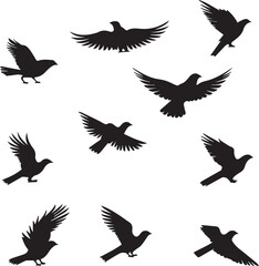 set of silhouettes of birds