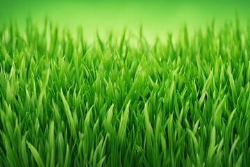 Obraz premium summer grass , summer grass background design