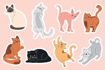 Fototapeta premium Set of stickers Pretty cats in flat cartoon design. This illustration shows stickers of cats of different colors and breeds that are very cute, relaxed and playful. Vector illustration.