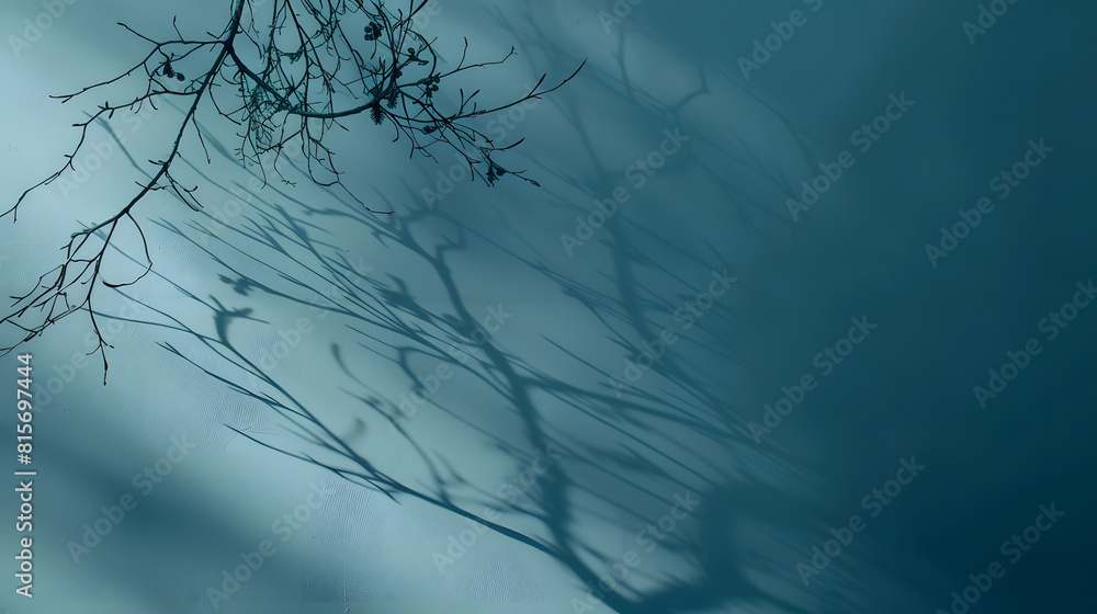 Aufkleber Minimalistic abstract gentle light blue background for product presentation with light and intricate shadow from tree branches on wall : Generative AI
