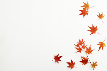 Autumnal leaves on white background. Flat lay, top view. Thanksgiving day concept.
