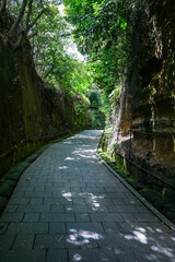 東京湾にある無人島の猿島