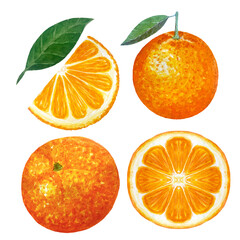 Orange fruit whole, cut in half, slice watercolor set isolated on white background. High quality hand drawn art for food design, packages, restaurant menu, natural organic food, label, logo and decor