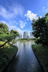 都心散歩　緑に包まれた浜離宮恩賜庭園の森