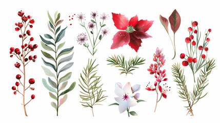 winter flowers, leaves, isolated on white background.generative Ai