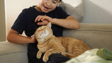 A boy is gently stroking a small to mediumsized cat with his hand on a couch
