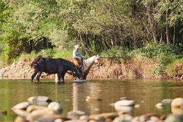Cowgirl crossing the river riding a horse and leading a mule