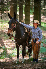 Obraz premium Cowgirl riding a mule in the forest