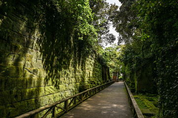東京湾にある無人島の猿島