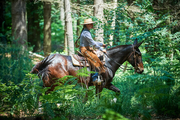 Cowgirl riding a mule in the forest