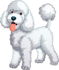 Cartoon poodle dog breed isolated on white background