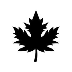 Maple leaf Silhouette Vector Art isolated on white background
