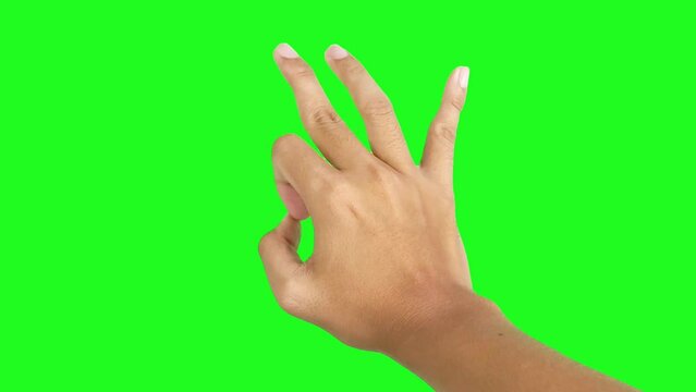 Magician check hand gesture isolated on green screen chroma key