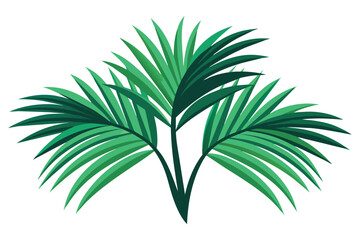 Palm fronds evergreen flat vector illustration on white background