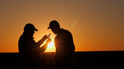 Two agronomists study seedlings on the field, look at the plants in the sun