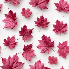 High-quality flying autumn dry red orange maple leaves isolated on white background png illustration