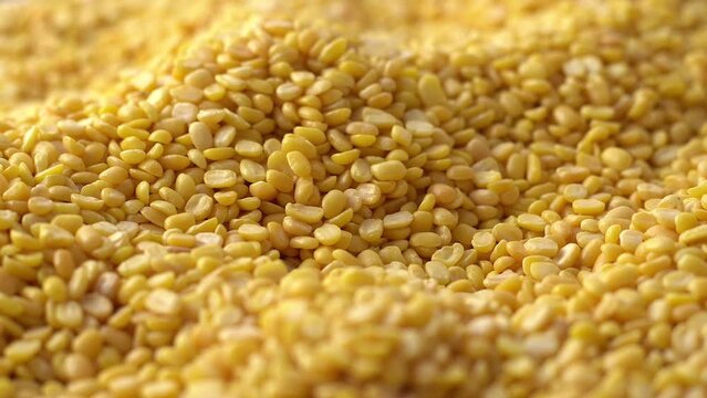 Macro video of moong dal. Close up of yellow lentis kept on rotating disk. 360 degree rotation of moong dals.