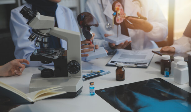 .Medical, meeting and laptop for team in office in discussion, brainstorming and planning. Doctor, nurse and computer on desk, teamwork or workshop for Model Internal organ.