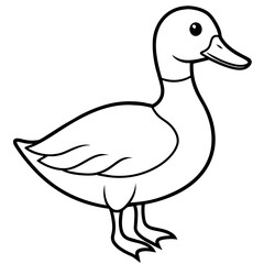 illustration of a duck