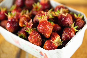 Erdbeeren Bio frisch