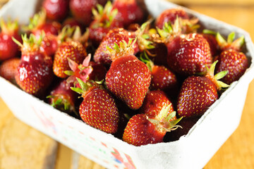 Erdbeeren Bio frisch