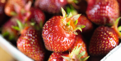 Erdbeeren Bio frisch