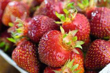 Erdbeeren Bio frisch