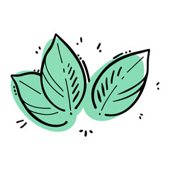 Leaves stylized doodle mint color, contour drawing on background of green spots, isolated on white background.