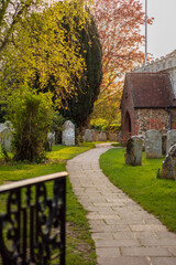 Pigen on grave stones at Bosham church , West Sussex