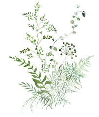 Bouquet with Watercolor fragile stems and tiny green leaves isolated illustration, botanical wedding