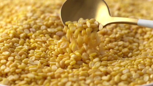 Macro video of moong dal. Close up of yellow lentis kept on rotating disk. 360 degree rotation of moong dals.
