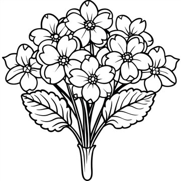 recommend clip art: Primrose flower outline illustration coloring book page design, Primrose flower black and white line art drawing coloring book pages for children and adults
                    