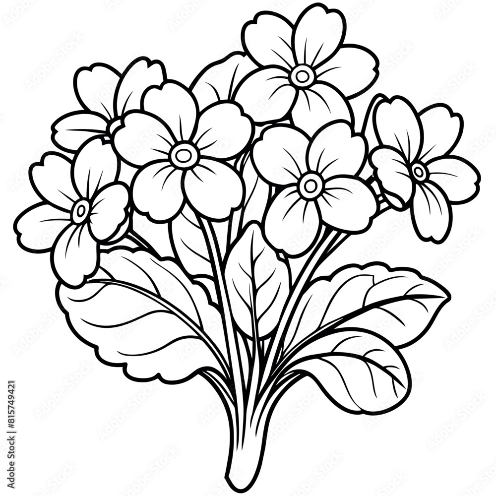 Wall mural primrose flower outline illustration coloring book page design, primrose flower black and white line