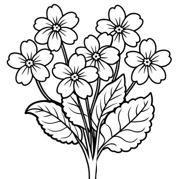 recommend clip art: Primrose flower outline illustration coloring book page design, Primrose flower black and white line art drawing coloring book pages for children and adults
                    