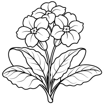 recommend clip art: Primrose flower outline illustration coloring book page design, Primrose flower black and white line art drawing coloring book pages for children and adults
                    