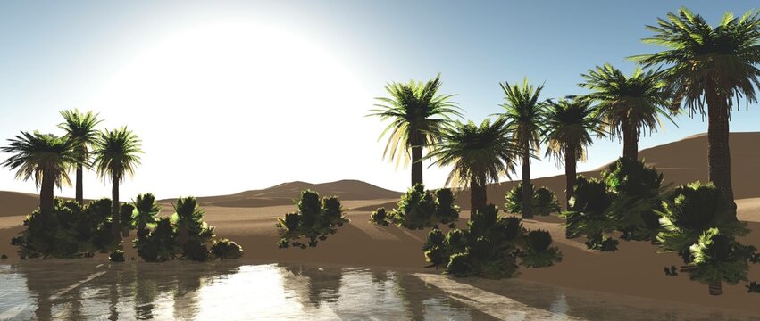Oasis in the desert sand. Palm trees and a lake. 3d rendering.
