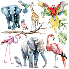 Watercolor illustration of African Animals: elephant and monkey, cockatoo, wild parrot and giraffe, flamingo isolated white background. Safari savannah animals. 
