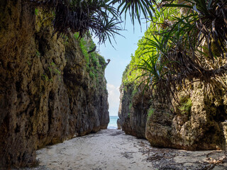 沖縄県本部町備瀬のワルミ