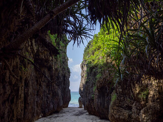 沖縄県本部町備瀬のワルミ