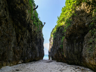沖縄県本部町備瀬のワルミ