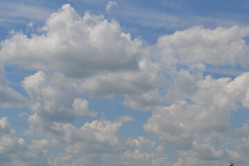 blue sky with clouds